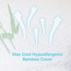 Dr Pillow Brijo Shredded Memory Foam 2 PACK Pillow 7 Dr Pillow Brijo Shredded Memory Foam 2 PACK Pillow -Bedding Store GUEST cdc7027d f4c2 426e 8e07 89199c54847c