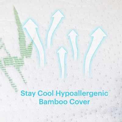 Dr Pillow Brijo Shredded Memory Foam 2 PACK Pillow 3 Dr Pillow Brijo Shredded Memory Foam 2 PACK Pillow - Image 3