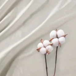 300 Thread Count Organic Cotton Deep Pocket Sheet Set - Madison Park -Bedding Store GUEST f7797d90 7ad1 4324 8996 d08d0f9275fa