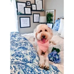 Blue Brooke Duvet Cover Set - POPPY & FRITZ® -Bedding Store GUEST 1f7e24d8 18f6 48b8 8e32 0f63a883a7a7