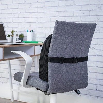 ErgoFoam Lumbar Support Pillow For Chair - Premium Breathable Mesh Back Support For Office Chair - Most Comfortable Lumbar Cushion 2 ErgoFoam Lumbar Support Pillow For Chair - Premium Breathable Mesh Back Support For Office Chair - Most Comfortable Lumbar Cushion - Image 2