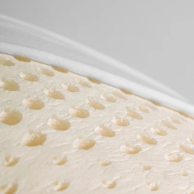 ELuxury Natural Latex Foam Bed Pillow With Cover, 2 Pack 4 ELuxury Natural Latex Foam Bed Pillow With Cover, 2 Pack - Image 4